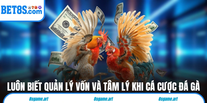 Luôn biết quản lý vốn và tâm lý khi cá cược đá gà