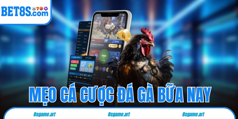 đá gà bữa nay