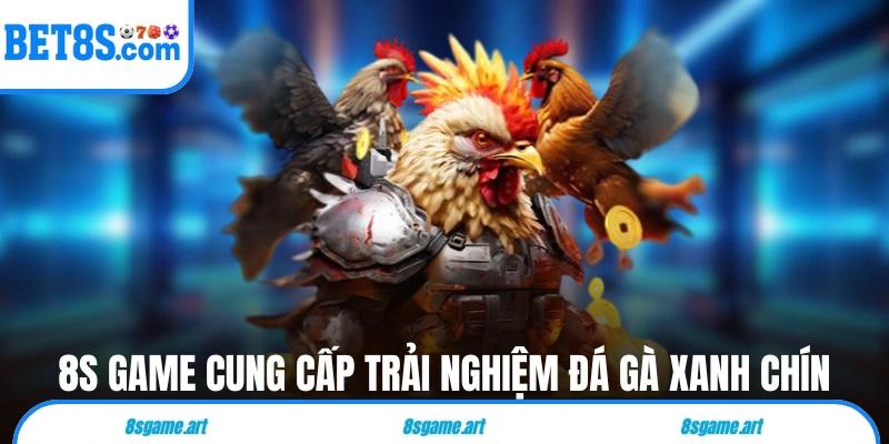 8s game cung cấp trải nghiệm đá gà bữa nay xanh chín