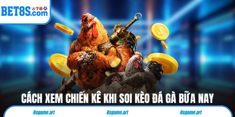 Cách xem chiến kê khi soi kèo đá gà bữa nay