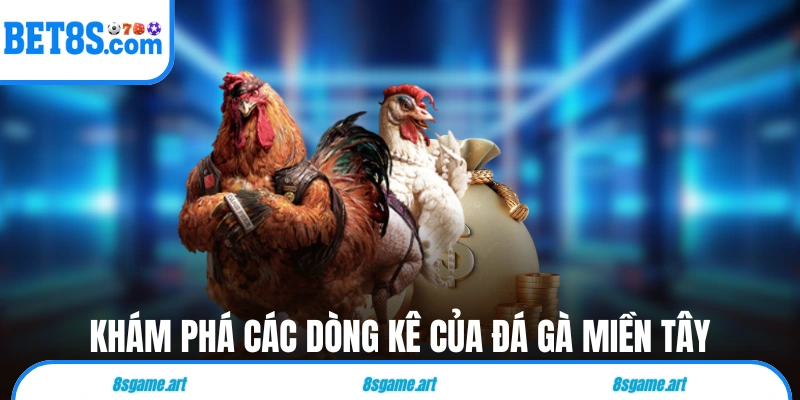Khám phá các dòng kê của đá gà miền Tây