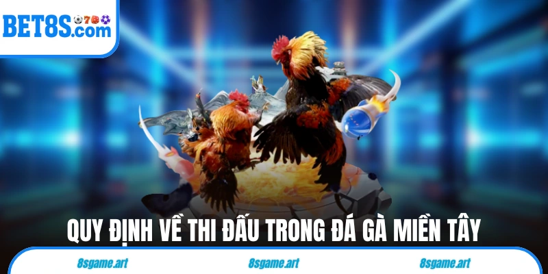 Quy định về thi đấu trong đá gà miền Tây