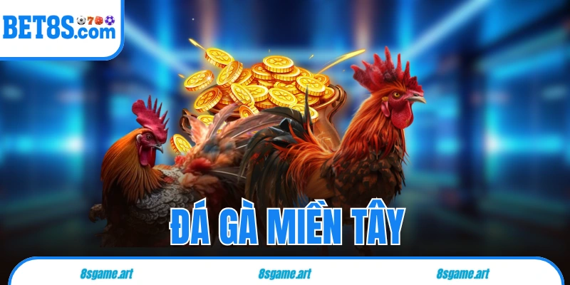 đá gà miền Tây